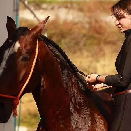 Lusitano Garden Arrifes